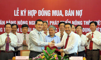 Công ty xử lý nợ xấu, một năm vừa đi vừa… lắp