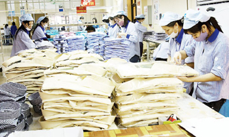 TPP, bông hồng có gai