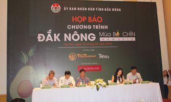 Đắk Nông "thay da đổi thịt" nhờ quả bơ