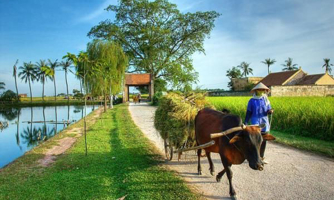 Bao nhiêu tiền đã chi cho giảm nghèo?