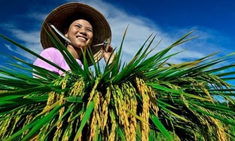 Ngộ ra với tín dụng nông nghiệp nông thôn…