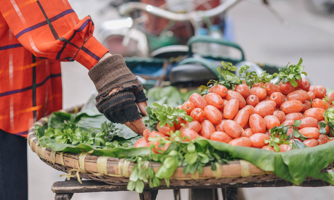 Nhộn nhịp những gánh hàng bán "quả đặc sản"