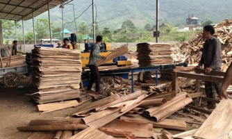 Các doanh nghiệp xuất khẩu gỗ ván bóc nhập nhèm trong khai báo để trốn thuế