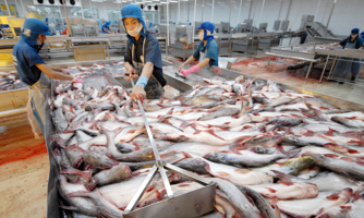 Ngành thủy sản đưa chứng nhận bền vững vào quy củ