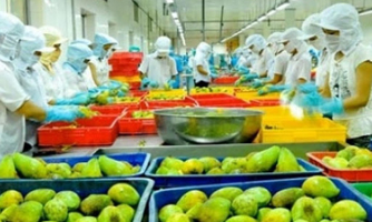 Doanh nghiệp xuất khẩu Việt Nam vẫn "bình yên" khi không còn ưu đãi GSP 