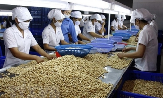 Nông sản xuất khẩu có thể chịu ảnh hưởng từ quy định SPS mới của WTO