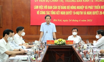 Sử dụng hiệu quả đất đai trong nông nghiệp để không bị vướng vào "hạn điền"