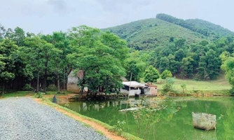 Giá bất động sản sẽ còn tăng mạnh, riêng Ba Vì "quay cuồng" với làn sóng "bỏ phố về quê"