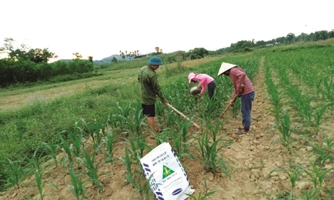 Giá phân bón tăng "bất thường", ai đang hưởng lợi?	