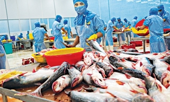 Ngành thủy sản “hụt hơi” vì Covid-19