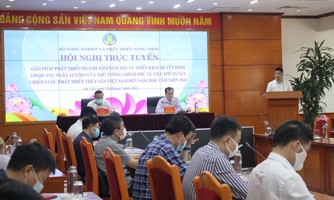 Nhiều bất cập, xuất khẩu tôm khó cán mốc 10 tỷ USD vào năm 2025?