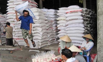 Xuất khẩu gạo "tê liệt" do đứt gãy chuỗi cung ứng