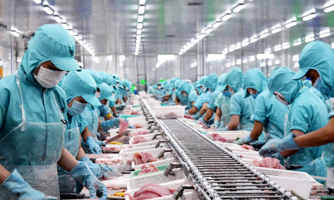 Xuất khẩu thuỷ sản sang EU tăng mạnh nhờ “đòn bẩy” EVFTA
