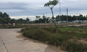 Phó Thủ tướng Chính phủ Lê Văn Thành làm Chủ tịch Hội đồng thẩm định quy hoạch sử dụng đất