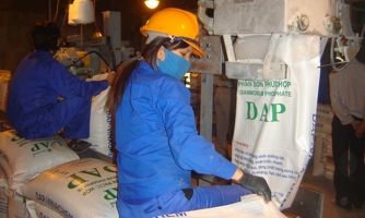 Phân bón DAP trong nước có đang bị làm giá?