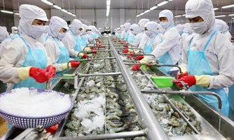 Giãn cách xã hội kéo dài, doanh nghiệp thủy sản "bế tắc"