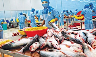 Từ 13/9, hơn 16 triệu cổ phiếu TS4 bị huỷ niêm yết bắt buộc