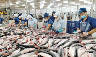 Tránh nguy cơ đổ vỡ chuỗi sản xuất thủy sản