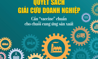 Tạp chí Kinh tế Việt Nam số 61