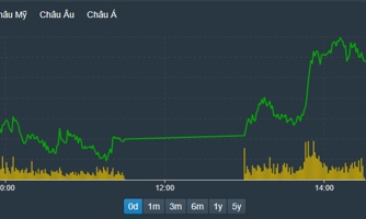Trên trăm mã trần cứng, thị trường nóng bỏng tay