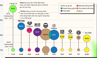 10 thương hiệu tăng giá trị nhanh nhất thế giới năm 2021, Tesla, TikTok dẫn đầu