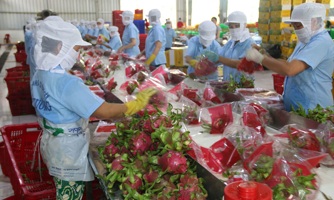 Bộ trưởng Lê Minh Hoan: Khôi phục sản xuất sau giãn cách, các tỉnh không thể tư duy cho riêng mình