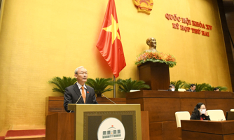 Hải Phòng có thể tự quyết chuyển mục đích sử dụng đất trồng lúa dưới 500 ha