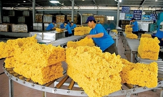 Giá cao su tăng mạnh, doanh nghiệp xuất khẩu lãi to 