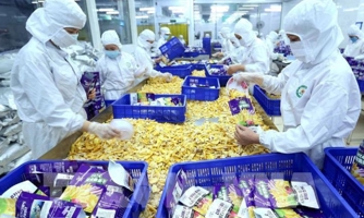 Muốn xuất khẩu nông phẩm sang EU phải có “hộ chiếu” Global G.A.P