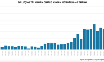 Kỷ lục hơn 220.000 tài khoản chứng khoán cá nhân mở mới trong tháng 11