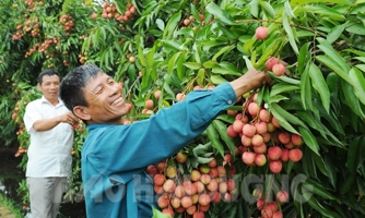 Tốc độ "thần tốc" trong tăng trưởng nông, lâm, thủy sản của Hải Dương 