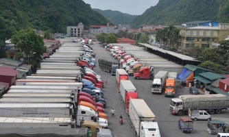 Khẩn trương khắc phục tình trạng ùn tắc nông sản ở cửa khẩu Lạng Sơn