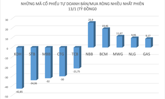 VN-Index "bay" 14 điểm, tự doanh xả mạnh nhóm ngân hàng