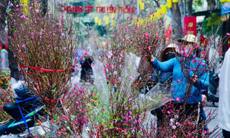 Thủ tướng yêu cầu không đưa ra quy định phòng, chống dịch "gây khó khăn" cho người dân dịp Tết