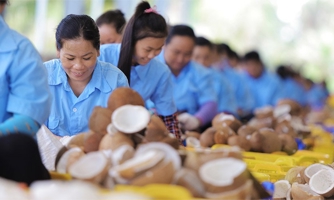 Một doanh nghiệp ngành Dừa tri ân nhân viên hơn 200 chỉ vàng và hàng trăm triệu quà tặng