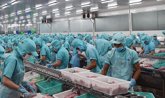 Doanh nghiệp châu Âu lạc quan vào môi trường kinh doanh Việt Nam khi giãn cách xã hội kết thúc