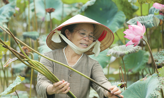 Dệt tương lai làng nghề từ tinh túy quốc hoa