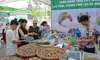 Hà Nội kích cầu tiêu dùng nội địa