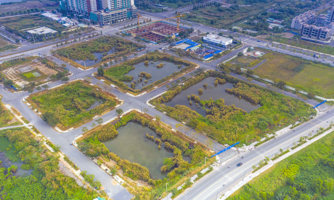 Lợi dụng đấu giá đất để trục lợi: Cần bịt “lỗ hổng” pháp lý