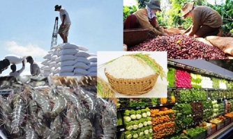 Kết quả xuất khẩu của nông nghiệp theo Tổng cục Thống kê