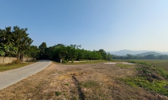 Hoà Bình: sắp có thêm khu công nghiệp khoảng 200ha
