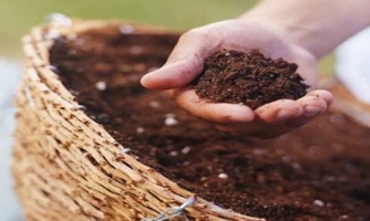 Hưởng lợi ngắn hạn, lợi nhuận doanh nghiệp phân bón vẫn có thể bị tác động