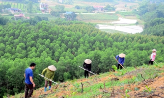 ADB đầu tư 15 triệu USD vào Quỹ Rừng nhiệt đới châu Á số 2 để thúc đẩy lâm nghiệp bền vững