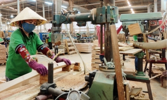 Giá nguyên liệu đầu vào tăng, doanh nghiệp gỗ gặp khó 