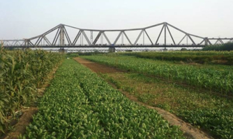 Hà Nội sẽ phát triển bãi giữa, bãi ven sông Hồng thành công viên văn hóa du lịch