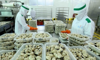 Ngành nhuyễn thể nhiều triển vọng phát triển nhưng thiếu bền vững