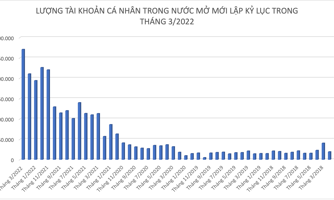 Kỷ lục lịch sử: 271.000 tài khoản cá nhân mở mới, Việt Nam cán mốc 5% dân số “đánh” chứng khoán