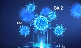 WHO bổ sung thêm hai biến thể phụ mới của Omicron vào danh sách cần theo dõi