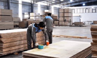 Hoa Kỳ lùi thời hạn kết luận điều tra đối với gỗ dán cứng của Việt Nam