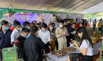 Làm gì để sâm Ngọc Linh xuất khẩu đạt tỷ đô?